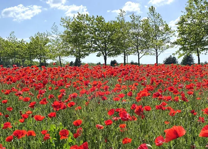 Villa Private First Line With Sea View In Blacksearama Golf A Location Privacy Pool Balchik