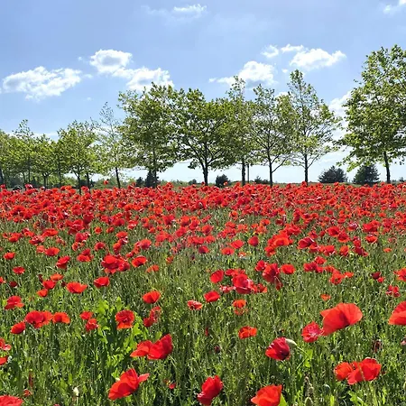 Villa Private First Line With Sea View In Blacksearama Golf Balchik